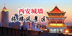 www,操逼,com中国陕西-西安城墙旅游风景区